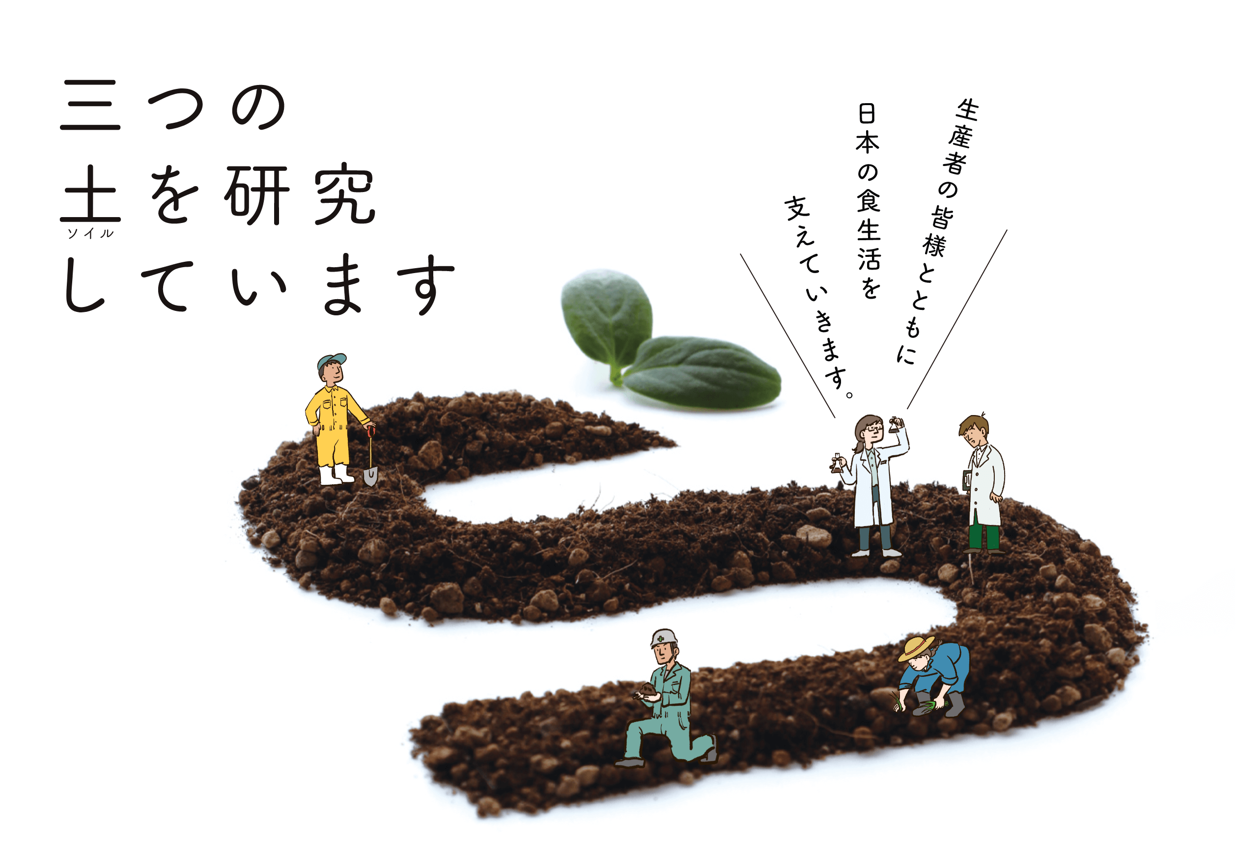 三つの土（ソイル）を研究しています