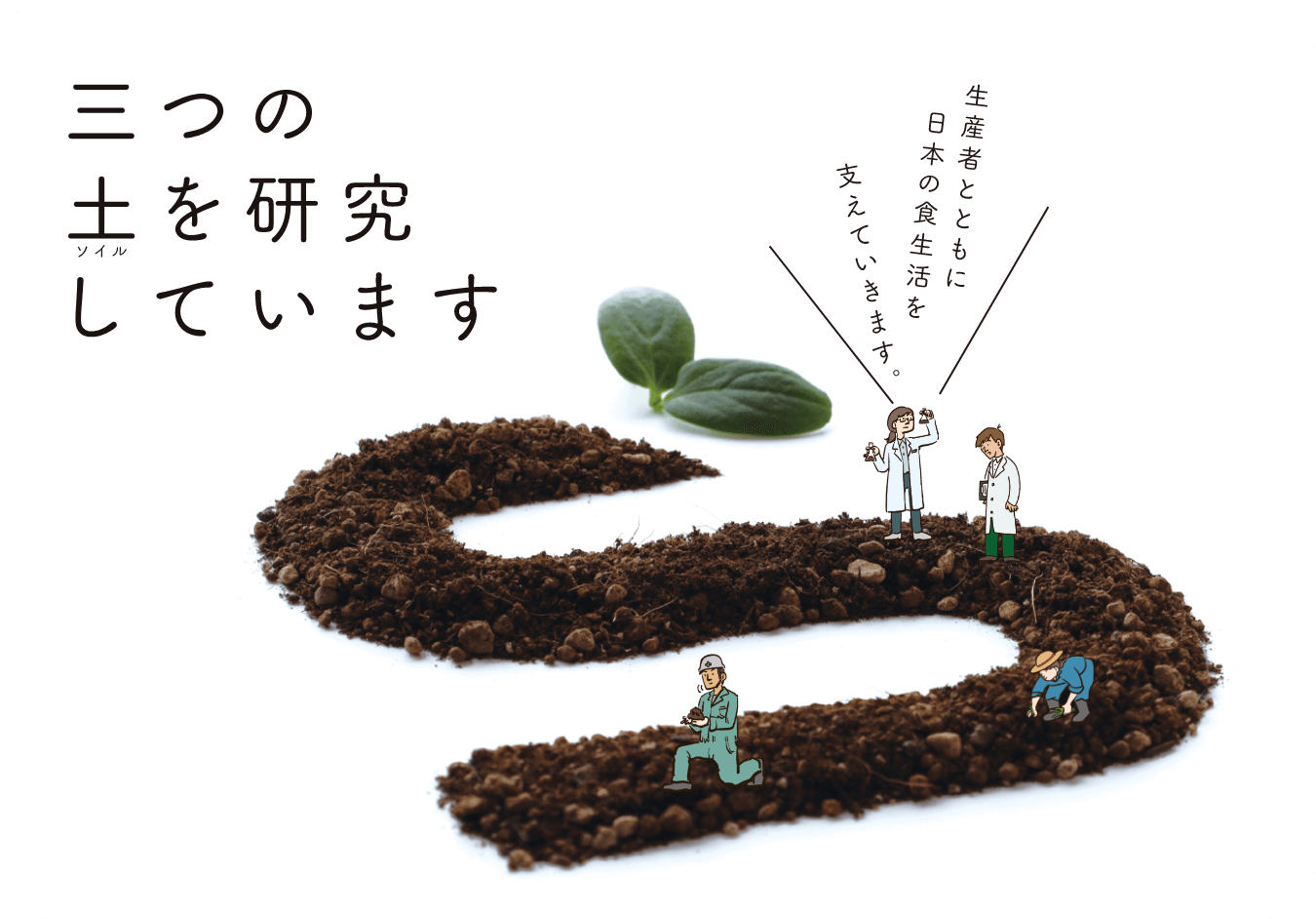 三つの土（ソイル）を研究しています